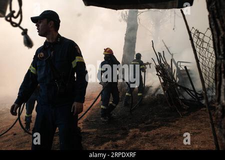 (190815) -- ATENE, 15 agosto 2019 (Xinhua) -- i vigili del fuoco spengono un incendio al villaggio Makrymalli, sull'isola di Evia, Grecia, il 14 agosto 2019. Tra gli sforzi in corso per spegnere un incendio distruttivo, mercoledì il primo ministro greco Kyriakos Mitsotakis ha chiesto una maggiore cooperazione tra i membri dell'Unione europea (UE) per affrontare le future catastrofi naturali. Ha fatto la chiamata durante una visita all'isola di Evia colpita dal fuoco. Alimentati da forti venti, le fiamme minacciavano i villaggi a circa 80 chilometri a nord-est di Atene, costringendo l'evacuazione di centinaia di residenti il martedì. (Foto di Nick Paleologo Foto Stock