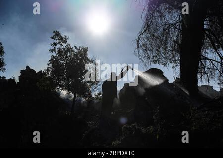 (190815) -- ATENE, 15 agosto 2019 (Xinhua) -- Un pompiere spegne un incendio vicino al villaggio Makrymalli, sull'isola di Evia, Grecia, il 14 agosto 2019. Tra gli sforzi in corso per spegnere un incendio distruttivo, mercoledì il primo ministro greco Kyriakos Mitsotakis ha chiesto una maggiore cooperazione tra i membri dell'Unione europea (UE) per affrontare le future catastrofi naturali. Ha fatto la chiamata durante una visita all'isola di Evia colpita dal fuoco. Alimentati da forti venti, le fiamme minacciavano i villaggi a circa 80 chilometri a nord-est di Atene, costringendo l'evacuazione di centinaia di residenti il martedì. (Foto di Nick pale Foto Stock