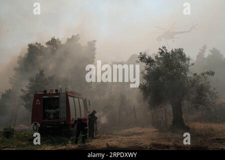 (190815) -- ATENE, 15 agosto 2019 (Xinhua) -- i vigili del fuoco spengono un incendio al villaggio Makrymalli, sull'isola di Evia, Grecia, il 14 agosto 2019. Tra gli sforzi in corso per spegnere un incendio distruttivo, mercoledì il primo ministro greco Kyriakos Mitsotakis ha chiesto una maggiore cooperazione tra i membri dell'Unione europea (UE) per affrontare le future catastrofi naturali. Ha fatto la chiamata durante una visita all'isola di Evia colpita dal fuoco. Alimentati da forti venti, le fiamme minacciavano i villaggi a circa 80 chilometri a nord-est di Atene, costringendo l'evacuazione di centinaia di residenti il martedì. (Foto di Nick Paleologo Foto Stock