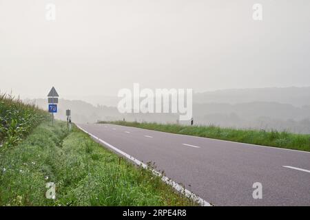 Svuotare la strada europea in prospettiva da un giorno nebbioso Foto Stock