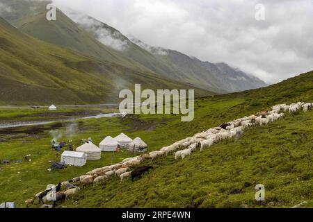 (190818) -- URUMQI, 18 agosto 2019 -- foto scattata il 17 agosto 2019 mostra un pascolo sulla Dushanzi-Kuqa Highway, regione autonoma di Xinjiang Uygur della Cina nord-occidentale. La sezione Dushanzi-Kuqa della National Highway 217 attraversa vari paesaggi naturali, tra cui ghiacciai, laghi, foreste e praterie, che lo rendono un popolare percorso di viaggio tra viaggiatori che viaggiano da soli, appassionati di ciclismo e escursionisti. ) CHINA-XINJIANG-DUSHANZI-KUPA HIGHWAY-SCENIC (CN) HUXHUHU PUBLICATIONXNOTXINXCHN Foto Stock