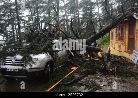 (190820) -- HIMACHAL PRADESH, 20 agosto 2019 () -- gli alberi sradicati danneggiano il veicolo a causa di frana dopo una forte pioggia nei pressi del luogo turistico di Shimla, in Himachal Pradesh, India, il 18 agosto 2019. Oltre 40 persone sono morte in incidenti legati alla pioggia negli stati settentrionali indiani dell'Himachal Pradesh, dell'Uttarakhand e del Punjab nelle ultime 24 ore, hanno dichiarato i media lunedì. (/Stringer) INDIA-HIMACHAL PRADESH-INONDAZIONI XINHUA PUBLICATIONxNOTxINxCHN Foto Stock