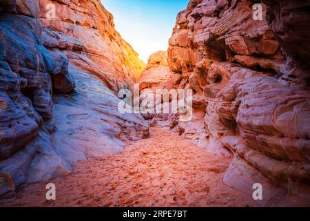 Slot canyon nel White Domes Trail nel Valley of Fire State Park, Nevada Foto Stock