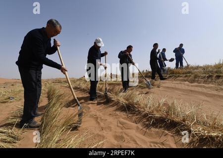 (190827) -- GANSU, agosto 27, 2019 -- i membri del personale della fattoria forestale di Babusha aprono le paillette per prevenire e controllare la desertificazione nella contea di Gulang della città di Wuwei, provincia del Gansu della Cina nordoccidentale, 26 marzo 2019. Situato nella zona di convergenza dell'Altopiano Loess, dell'Altopiano mongolo e dell'Altopiano Qinghai-Tibet, la provincia di Gansu nella Cina nord-occidentale attraversa varie forme di terra tra cui praterie, foreste, deserti, zone umide e montagne. Negli ultimi anni, attraverso continui sforzi per proteggere l'area di conservazione delle acque, contenere la desertificazione e riprendere le foreste dai terreni agricoli, l'ecolo Foto Stock