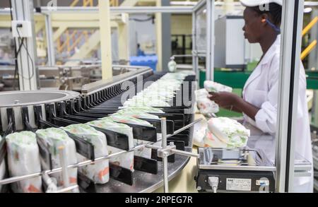 (190828) -- MAVOKO (KENYA), 28 agosto 2019 -- Un dipendente locale lavora sulla linea di produzione nella fabbrica di pannolini industriali Sunda Kenya a Mavoko, Kenya, il 28 agosto 2019. Mercoledì gli investitori cinesi hanno lanciato la più grande fabbrica di pannolini dell'Africa orientale in Kenya. Lo stabilimento di produzione della Sunda Kenya Industrial Diaper Factory è un investimento di 4 miliardi di scellini (39 milioni di dollari USA) che si basa su circa 35 acri a Mavoko, circa 30 km a sud-ovest della capitale del Kenya Nairobi. KENYA-MAVOKO-CHINA-DIAPER FACTORY-LANCIO ZHANGXYU PUBLICATIONXNOTXINXCHN Foto Stock