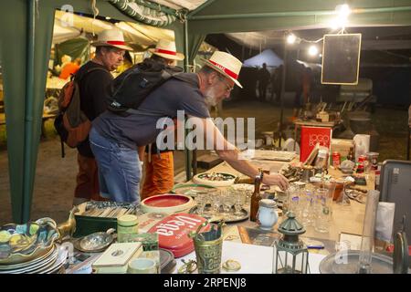 (190901) -- LILLE (FRANCIA), 1 settembre 2019 (Xinhua) -- le persone visitano l'annuale Lille Braderie a Lille, Francia settentrionale, il 31 agosto 2019. Il mercato delle pulci di Lille Braderie si è tenuto dal 31 agosto al 1 settembre. Essendo uno dei mercati delle pulci più grandi d'Europa, l'evento di quest'anno ha attirato circa 2,5 milioni di visitatori. (Foto di Sebastien Courdji/Xinhua) FRANCE-LILLE-FLEA MARKET PUBLICATIONxNOTxINxCHN Foto Stock