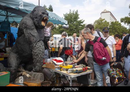 (190901) -- LILLE (FRANCIA), 1 settembre 2019 (Xinhua) -- le persone visitano l'annuale Lille Braderie a Lille, Francia settentrionale, il 31 agosto 2019. Il mercato delle pulci di Lille Braderie si è tenuto dal 31 agosto al 1 settembre. Essendo uno dei mercati delle pulci più grandi d'Europa, l'evento di quest'anno ha attirato circa 2,5 milioni di visitatori. (Foto di Sebastien Courdji/Xinhua) FRANCE-LILLE-FLEA MARKET PUBLICATIONxNOTxINxCHN Foto Stock