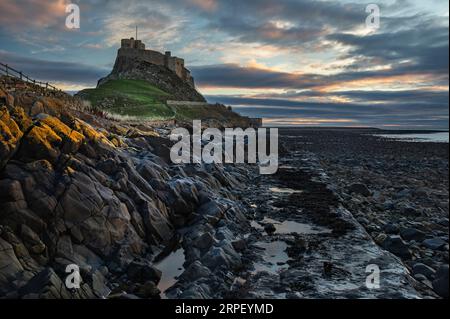 Il castello di Lindisfarne ha fotografato all'alba a novembre. Holy Island, Northumberland. Foto Stock