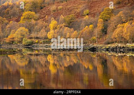Colori autunnali vivaci riflessi sulla superficie piatta e tranquilla del Loch Leven, vicino a Kinlochleven, Lochaber, Highlands, Scozia, REGNO UNITO Foto Stock