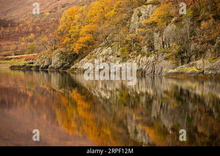 Colori autunnali vivaci riflessi sul lago Leven vicino a Kinlochleven, Lochaber, Highlands, Scozia, Regno Unito in autunno/inverno (novembre) Foto Stock