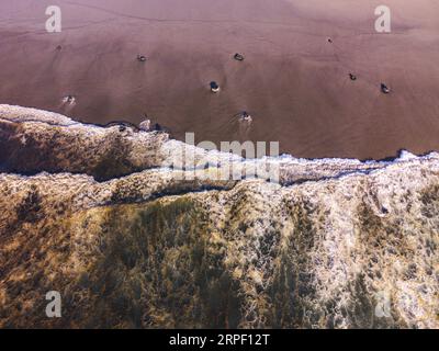 Foto aerea con drone della foresta fantasma di Neskowin sulla costa dell'Oregon. Foto Stock