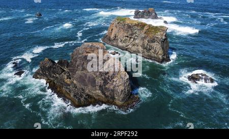 Foto aerea con drone di pile marine nel Samuel H. Boardman Scenic Corridor sulla costa dell'Oregon. Foto Stock