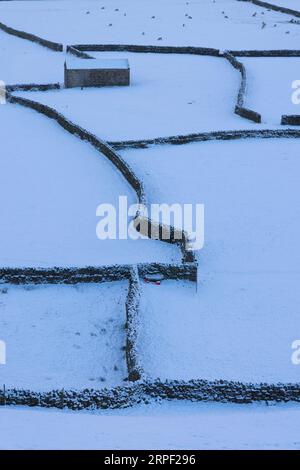 Prati innevati, fienili di pietra e muretti a secco a Gunnerside, Swaledale, Yorkshire Dales, North Yorkshire, Regno Unito in inverno (novembre) Foto Stock