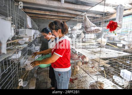 (190910) -- URUMQI, 10 settembre 2019 -- Una donna e sua figlia lavorano in una colomcote a Kashgar, regione autonoma di Xinjiang Uygur, Cina nordoccidentale, 14 agosto 2019. Molti abitanti locali dello Xinjiang si sono liberati dalla povertà attraverso piantagioni e allevamenti di bestiame. Negli ultimi cinque anni, circa 1,89 milioni di persone a Kashgar, Hotan, Aksu e Kizilsu Kirgiz hanno sconvolto la povertà, riducendo il rapporto tra l'organico e la povertà dal 29,1 al 10,9% nelle quattro prefetture dello Xinjiang meridionale. CINA-XINJIANG-RIDUZIONE DELLA POVERTÀ (CN) WangxFei PUBLICATIONxNOTxINxCHN Foto Stock