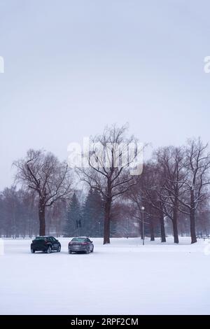 Due auto parcheggiate accanto a un parco durante la tempesta di neve, scena invernale con spazio fotocopie. Foto Stock