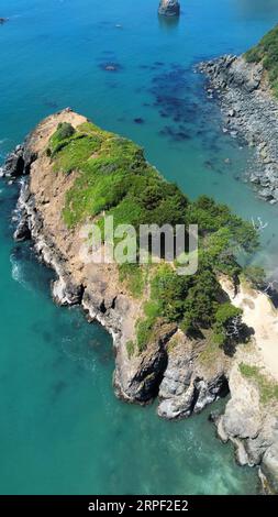 Foto aerea con drone di Battle Rock Beach a Port Orford sulla costa dell'Oregon. Foto Stock