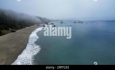 Foto aerea con drone di Battle Rock Beach a Port Orford sulla costa dell'Oregon. Foto Stock