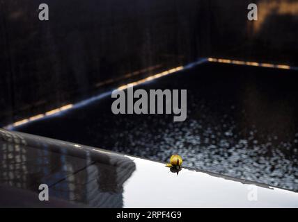 (190912) -- NEW YORK, 12 settembre 2019 -- Un fiore è visto al National September 11 Memorial and Museum di New York, negli Stati Uniti, 11 settembre 2019. Mercoledì la gente ha reso omaggio qui per piangere le vittime degli attentati terroristici del 9/11 avvenuti 18 anni fa e che hanno causato migliaia di vite umane. U.S.-NEW YORK-11/9-18ESIMO ANNIVERSARIO LixRui PUBLICATIONxNOTxINxCHN Foto Stock
