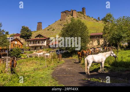 Il villaggio fortificato di Keselo (georgiano კესელო) si erge su una collina sopra una strada del villaggio a Omalo, comune di Akhmeta, regione di Kakheti, Georgia. I cavalli sono fermi sulla pista sterrata, con un cavallo bianco che indossa un cavezza davanti. A sinistra, un cavallo marrone scuro e due cavalli bianchi pascolano. Dietro di loro ci sono case di legno con balconi, pile di legna da ardere e un veicolo fuoristrada. Una singola torre si erge a sinistra sotto il complesso. Il villaggio fortificato serviva come rifugio agli abitanti in tempi di guerra. Le sue torri sono costruite con lastre di ardesia impilate a secco. Il restauro delle rovine è iniziato nel 2003. La vi Foto Stock