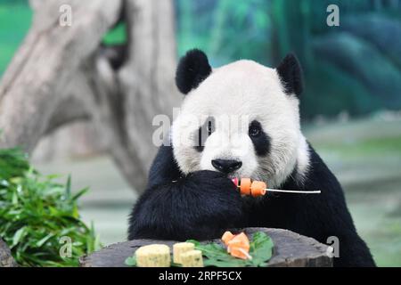 (190913) -- TAIPEI, 13 settembre 2019 -- il panda gigante Tuantuan mangia frutta e verdura spiedata allo zoo di Taipei a Taipei, Taiwan, 13 settembre 2019. Le torte lunari e la frutta e la verdura spiedata sono state preparate appositamente dallo staff dello zoo di Taipei per i panda giganti per celebrare il Festival di metà autunno. ) CHINA-TAIPEI-GIANT PANDAS-MID-AUTUMN FESTIVAL (CN) CHENXBIN PUBLICATIONXNOTXINXCHN Foto Stock