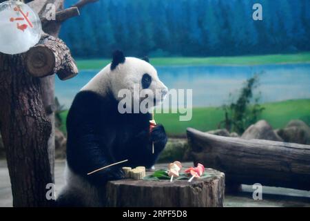 (190913) -- TAIPEI, 13 settembre 2019 -- il panda gigante Yuanzai mangia frutta e verdura spiedate allo zoo di Taipei a Taipei, Taiwan, 13 settembre 2019. Le torte lunari e la frutta e la verdura spiedata sono state preparate appositamente dallo staff dello zoo di Taipei per i panda giganti per celebrare il Festival di metà autunno. ) CHINA-TAIPEI-GIANT PANDAS-MID-AUTUMN FESTIVAL (CN) CHENXBIN PUBLICATIONXNOTXINXCHN Foto Stock