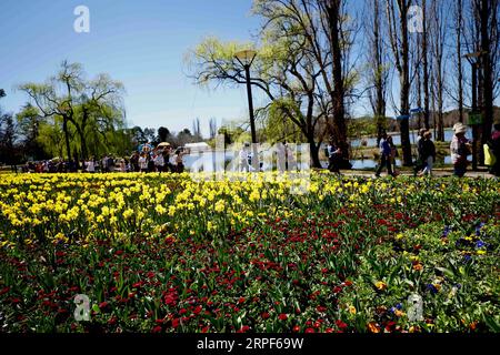 (190914) -- CANBERRA, 14 settembre 2019 -- People visit Floriade, un festival annuale di fiori e intrattenimento, al Commonwealth Park di Canberra, Australia, 14 settembre 2019. Il festival si apre dal 14 settembre al 13 ottobre a Canberra. (Foto di /Xinhua) AUSTRALIA-CANBERRA-FLORIADE ChuxChen PUBLICATIONxNOTxINxCHN Foto Stock