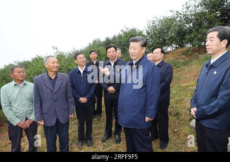 (190918) -- ZHENGZHOU, 18 settembre 2019 -- il presidente cinese Xi Jinping, anche segretario generale del Comitato centrale del Partito Comunista Cinese e presidente della Commissione militare centrale, visita una piantagione di camelie di semi oleosi nella contea di Guangshan, nella provincia centrale di Henan della Cina, 17 settembre 2019. XI ha ispezionato il lavoro di alleviamento della povertà durante il suo tour a Guangshan a Henan martedì. ) CHINA-HENAN-XI JINPING-POVERTY ELIMINATION-INSPECTION (CN) JUXPENG PUBLICATIONXNOTXINXCHN Foto Stock