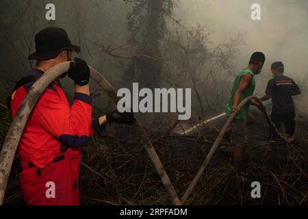 (190918) -- RIAU, 18 settembre 2019 -- i vigili del fuoco tentano di estinguere un incendio boschivo a Riau, Indonesia, 18 settembre 2019. (Foto di /Xinhua) INDONESIA-RIAU-FOREST FIRE AfriantoxSilalahi PUBLICATIONxNOTxINxCHN Foto Stock