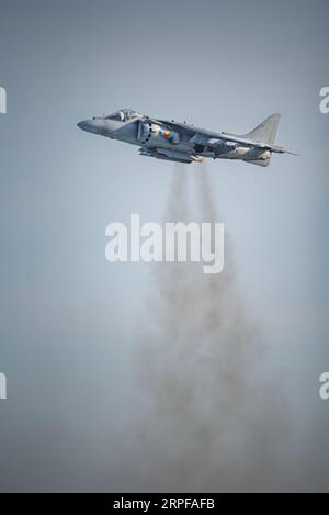 Aereo a reazione Harrier della Marina spagnola che si innalza verticalmente all'esposizione del giorno delle forze Armate a Motril. Foto Stock