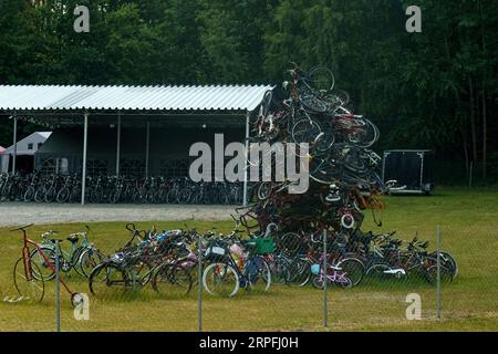 Una montagna di vecchie biciclette si trova in un'area verde. Foto Stock