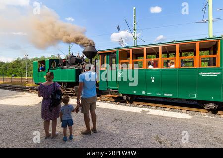 Nagycenki Szechenyi Muzeumvasut ferrovia a scartamento ridotto da 760 mm (2 ft 6 in). Treno passeggeri trainato dalla locomotiva a vapore "Andras", Nagycenk, Ungheria Foto Stock