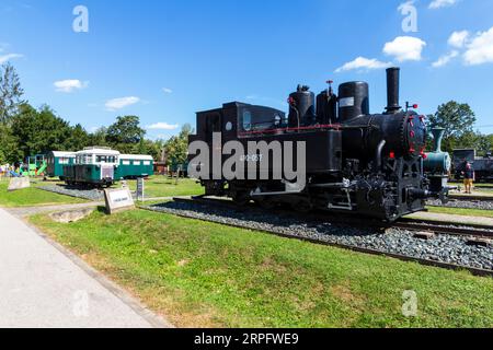 Nagycenki Szechenyi Muzeumvasut, ferrovia a scartamento ridotto, museo all'aperto delle locomotive a vapore, Nagycenk, Ungheria Foto Stock