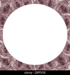 Immagine con cornice rotonda di rose polverose ad acquerello. Isolato su sfondo bianco disegnato a mano Foto Stock