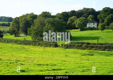 Jane Austen's Birthplace - il sito della vecchia canonica a Steventon Foto Stock