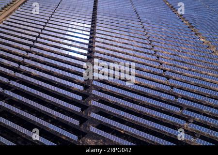 Vista aerea dei pannelli solari in una moderna centrale solare che genera elettricità rinnovabile in una soleggiata giornata estiva nel Cerrado del Brasile. Foto Stock