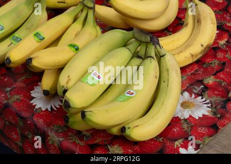 Banane in un mercato di banane e verdura, Regno Unito Foto Stock