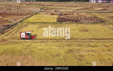 191003 -- PECHINO, 3 ottobre 2019 -- foto aerea scattata il 23 settembre 2019 mostra una macchina per la raccolta del riso nella città di Jinggangshan, nella provincia orientale dello Jiangxi della Cina. CHINA-HARVEST-AERIAL VIEW CN PengxZhaozhi PUBLICATIONxNOTxINxCHN Foto Stock