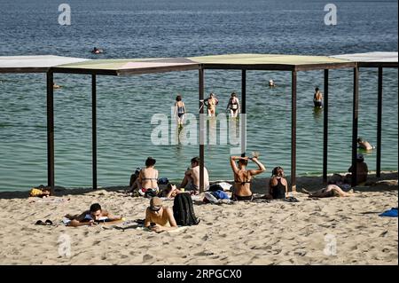 Non esclusiva: ZAPORIZHZHIA, UCRAINA - 31 AGOSTO 2023 - i membri del pubblico riposano sulla spiaggia di Pravoberezhnyi, Zaporizhzhia, Ucraina meridionale. Foto Stock