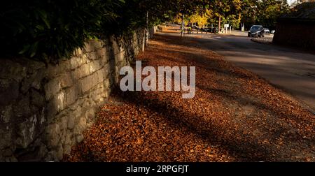 191015 -- ABERDEEN, 15 ottobre 2019 -- le strade sono coperte di foglie ad Aberdeen, Scozia, Gran Bretagna, il 14 ottobre 2019. BRITAIN-ABERDEEN-AUTUMN HanxYan PUBLICATIONxNOTxINxCHN Foto Stock