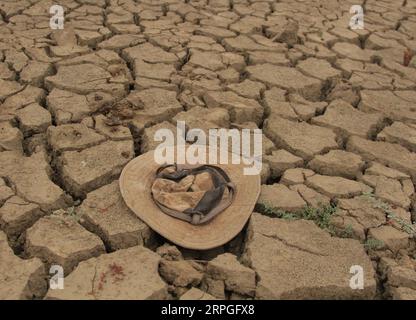 191015 -- PECHINO, 15 ottobre 2019 Xinhua -- foto scattata l'11 ottobre 2019 mostra la terra della siccità nel Monte Darwin, Zimbabwe. Foto di Shaun Jusa/Xinhua Xinhua titoli: L'escalation della fame in Africa richiede maggiori sforzi globali per la sicurezza alimentare PUBLICATIONxNOTxINxCHN Foto Stock