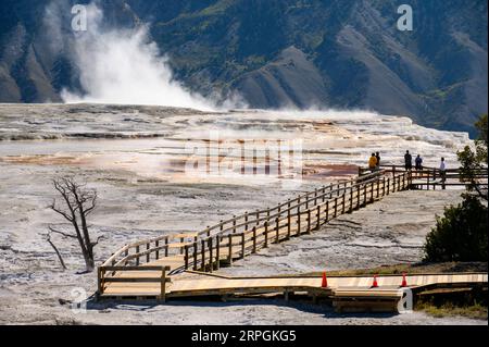 Mammoth Hot Springs nel parco nazionale di Yellowstone, vicino a Gardiner nel Montana Foto Stock