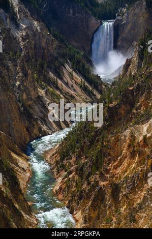 Le cascate del Grand Canyon di Yellowstone nel parco nazionale di Yellowstone Foto Stock