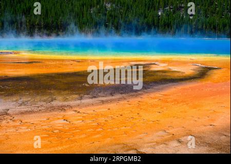 I vivaci colori della Grand Prismatic Spring nel parco nazionale di Yellowstone, USA Foto Stock