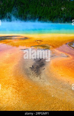 I vivaci colori della Grand Prismatic Spring nel parco nazionale di Yellowstone, USA Foto Stock