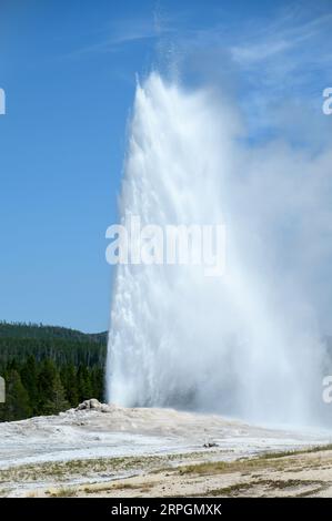 Old Faithful Geyser in eruzione nel parco nazionale di Yellowstone Foto Stock