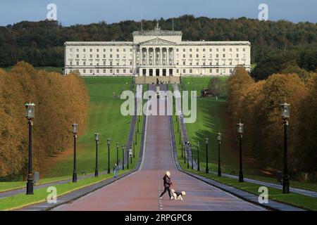 191019 -- BELFAST, 19 ottobre 2019 Xinhua -- Una donna cammina il suo cane all'interno dei terreni di Stormont a Belfast est, Irlanda del Nord, Regno Unito, il 19 ottobre 2019. Sabato i legislatori britannici hanno votato a favore di un emendamento chiave per costringere il primo ministro britannico Boris Johnson a chiedere un'altra proroga della Brexit all'Unione europea. Foto di Paul McErlane/Xinhua UK-BELFAST-BREXIT-AMENDMENT PUBLICATIONxNOTxINxCHN Foto Stock