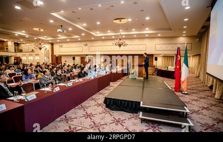 191019 -- DUN LAOGHAIRE IRELAND, 19 ottobre 2019 Xinhua -- i partecipanti partecipano a una conferenza dell'11° Forum europeo organizzato dalla Federation of Chinese Professional Association in Europe FCPAE a Dun Laoghaire, una città di mare a sud di Dublino, Irlanda, il 19 ottobre 2019. L'undicesimo Forum europeo si è concluso sabato a Dun Laoghaire. XINHUA IRELAND-DUN LAOGHAIRE-FCPAE-EUROPE FORUM PUBLICATIONXNOTXINXCHN Foto Stock