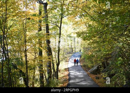 191020 -- NEW YORK, 20 ottobre 2019 -- i visitatori camminano in una foresta a Bear Mountain a New York, negli Stati Uniti, 19 ottobre 2019. U.S.-NEW YORK-PAESAGGI AUTUNNALI HanxFang PUBLICATIONxNOTxINxCHN Foto Stock