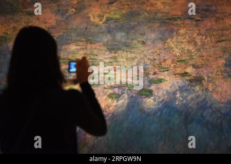 191023 -- NEW YORK, 23 ottobre 2019 -- Un visitatore scatta foto del dipinto ninfee dell'impressionista francese Claude Monet nel Museum of Modern Art MoMA di Manhattan di New York, Stati Uniti, 22 ottobre 2019. Il MoMA è stato riaperto al pubblico lunedì dopo essere stato chiuso dal 15 giugno per ristrutturazione e riorganizzazione delle sue gallerie. U.S.-NEW YORK-MOMA-RIAPERTURA HanxFang PUBLICATIONxNOTxINxCHN Foto Stock