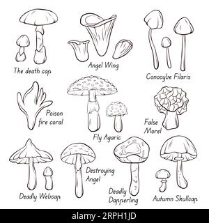 Icone inedibili della collezione di funghi nella grafica in linea, stile di contorno. Fly Agaric, Autumn Skullcap, Deadly Webcap, False Morel, Poison Fire Coral. Vettore Illustrazione Vettoriale